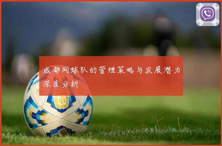 成都网球队的管理策略与发展潜力深度分析