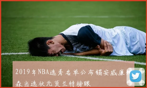 2019年NBA选秀名单公布锡安威廉姆森当选状元莫兰特榜眼