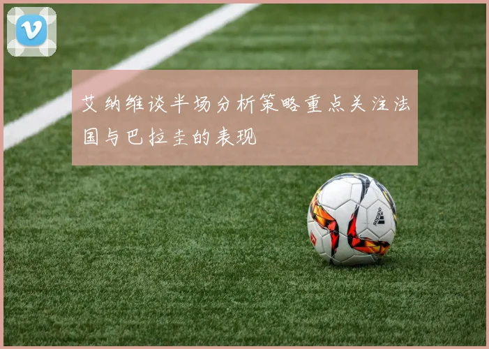 艾纳维谈半场分析策略重点关注法国与巴拉圭的表现